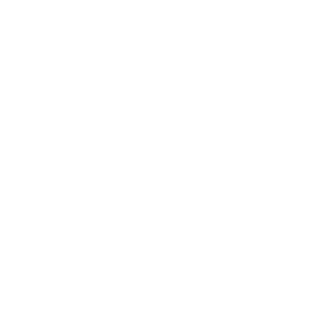 Icon - Uy Tín
